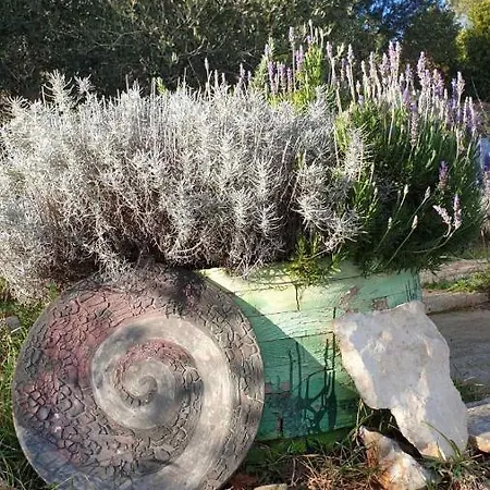 Mary's Garden *