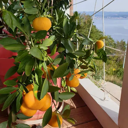 Mary's Garden Holiday home Tulisevica