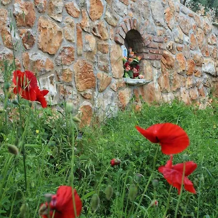 Holiday home Mary's Garden Tulisevica